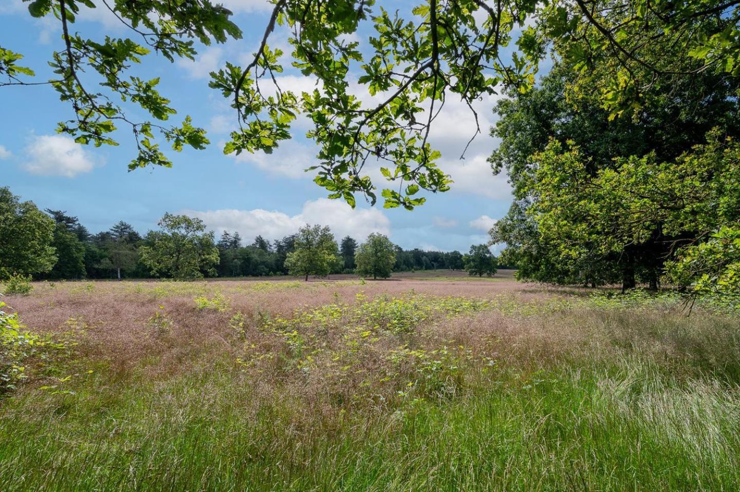 Landhuisje 31 'De Akkersteen' Bospark Ijsselheide Zwolle Hattemerbroek 외부 사진
